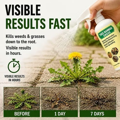 🔥 Fast-Acting Natural Weed & Grass Killer Spray – Ready-to-Use Yard & Patio Weed Control 🌿💦