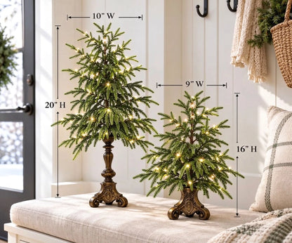 🎄🌲 Vintage Norfolk Pines with Warm White Lighting