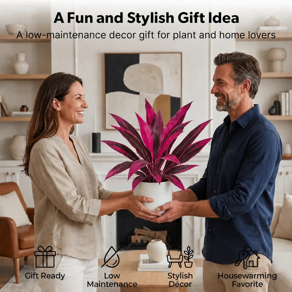 🎁 Last Day 50% OFF - Artificial Boston Fern & Dragon's Blood Tree Plants