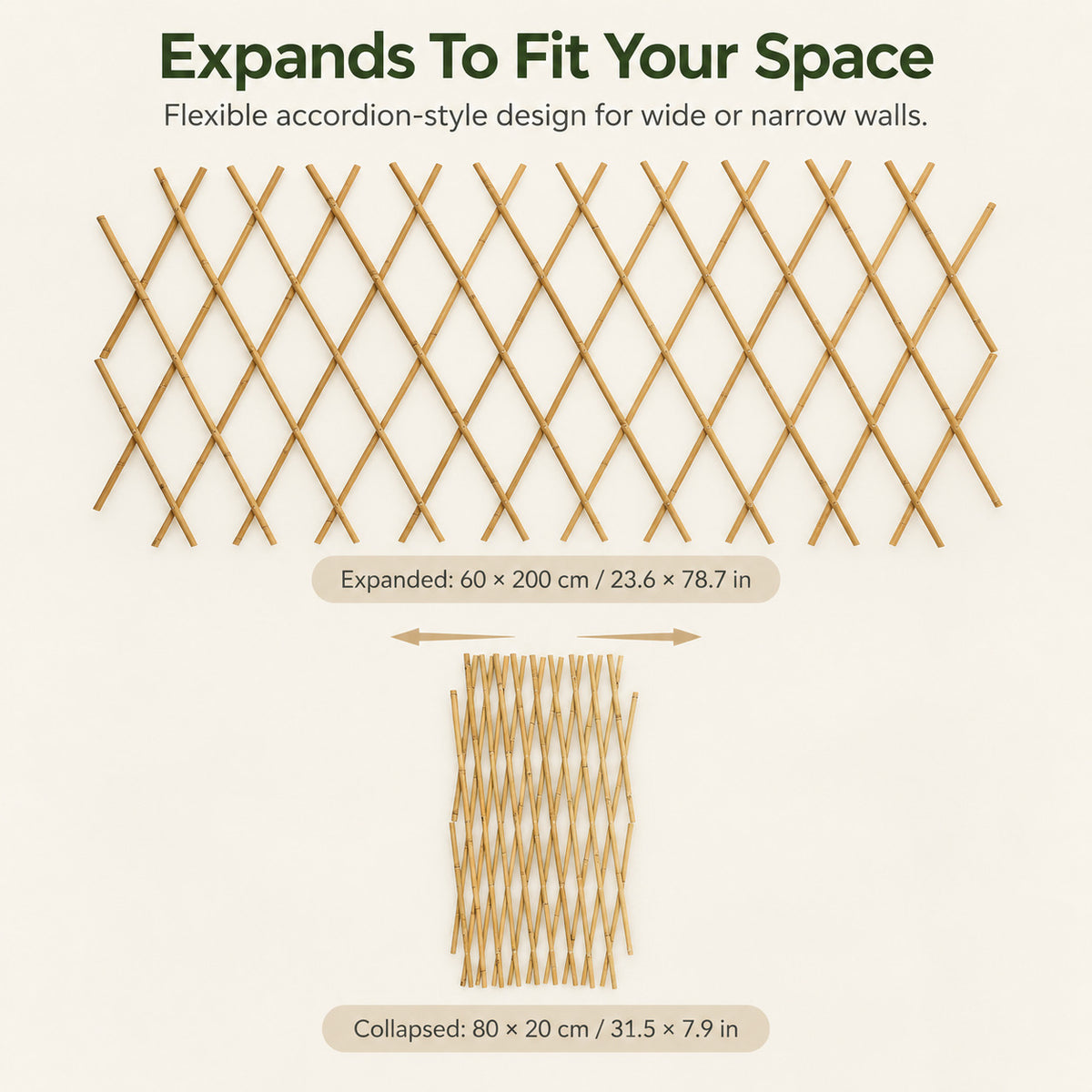 🌿 Expandable Wall-Mounted Bamboo Plant Trellis