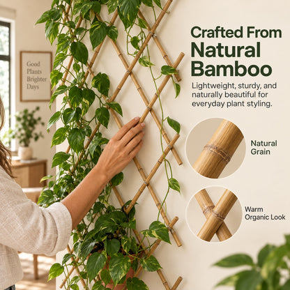 🌿 Expandable Wall-Mounted Bamboo Plant Trellis