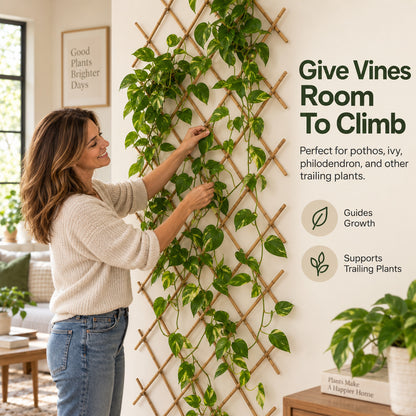 🌿 Expandable Wall-Mounted Bamboo Plant Trellis