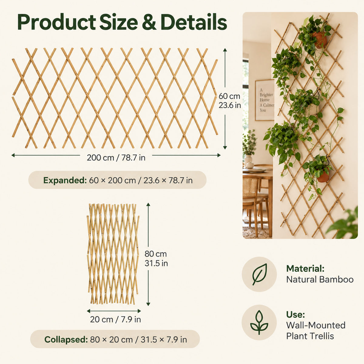 🌿 Expandable Wall-Mounted Bamboo Plant Trellis
