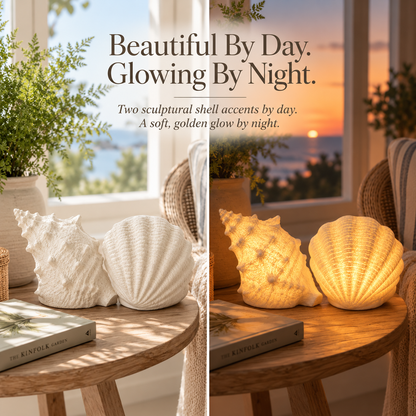 🌊✨Coastal Afterglow Shell & Conch Light Set