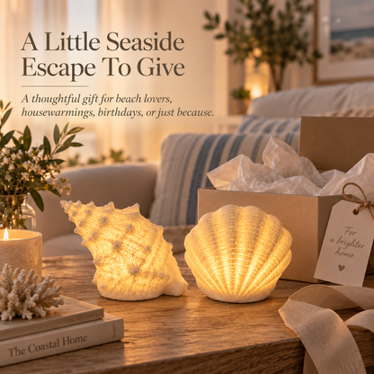 🌊✨Coastal Afterglow Shell & Conch Light Set
