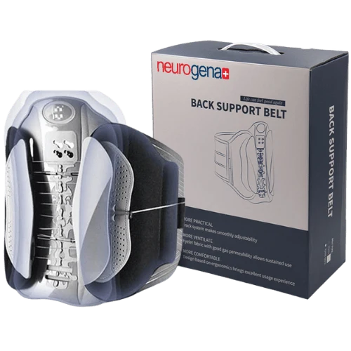 BackSupport Belt