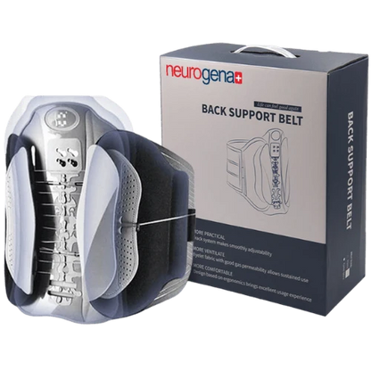 BackSupport Belt