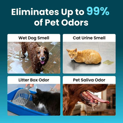 Eliminate Pet Smells In Under 24 Hours & Stop Them From Coming Back
