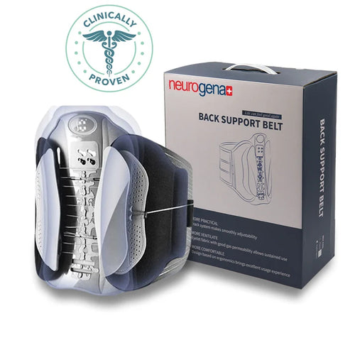 BackSupport Belt