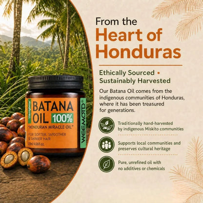 Batana hair oil product image 4