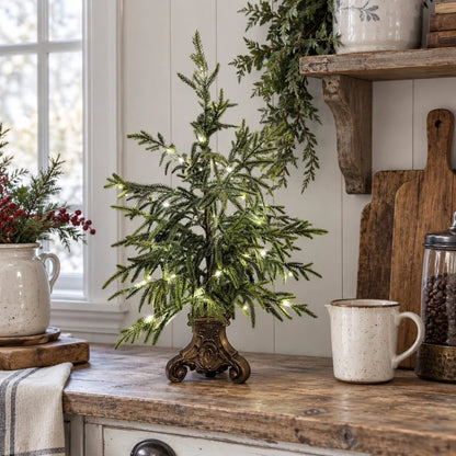 🎄🌲 Vintage Norfolk Pines with Warm White Lighting