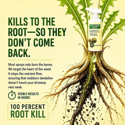 🔥 Fast-Acting Natural Weed & Grass Killer Spray – Ready-to-Use Yard & Patio Weed Control 🌿💦