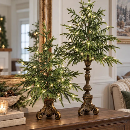🎄🌲 Vintage Norfolk Pines with Warm White Lighting