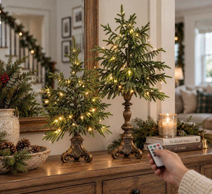 🎄🌲 Vintage Norfolk Pines with Warm White Lighting