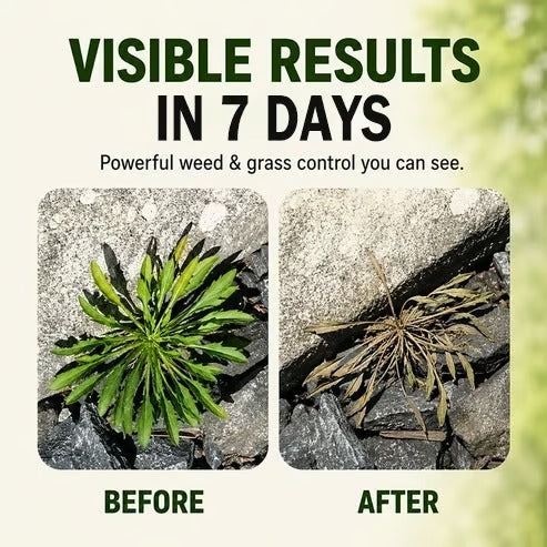 🔥 Fast-Acting Natural Weed & Grass Killer Spray – Ready-to-Use Yard & Patio Weed Control 🌿💦
