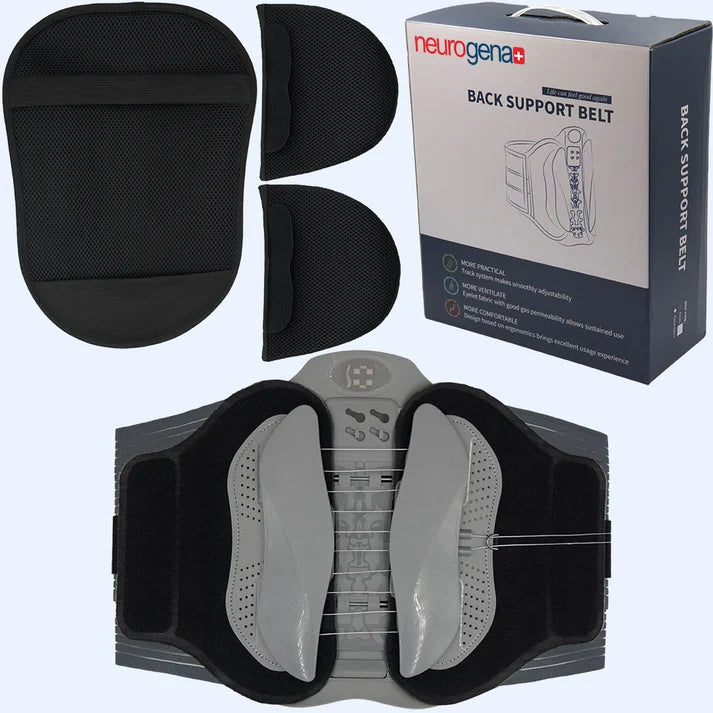 BackSupport Belt