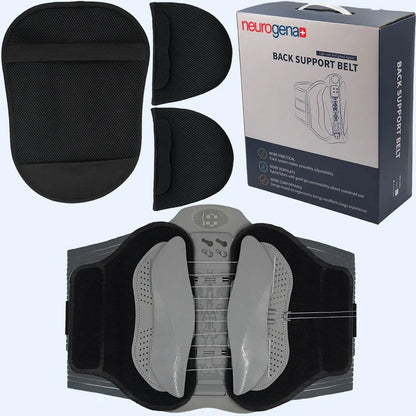 BackSupport Belt