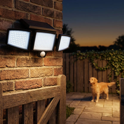Solar Motion Sense Light - The Light That Turns Your Driveway On